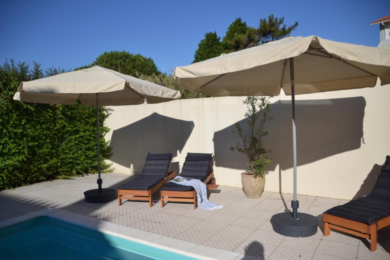 Casas Cerejas Bed and Breakfast Serra de Mangues Exteriör bild